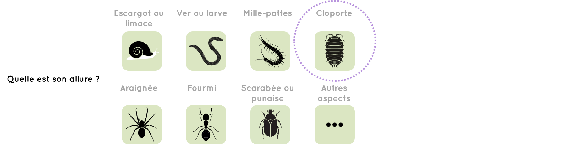 Identifier la faune du sol